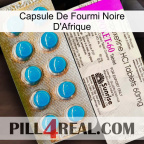 Africa Black Ant Capsule new07